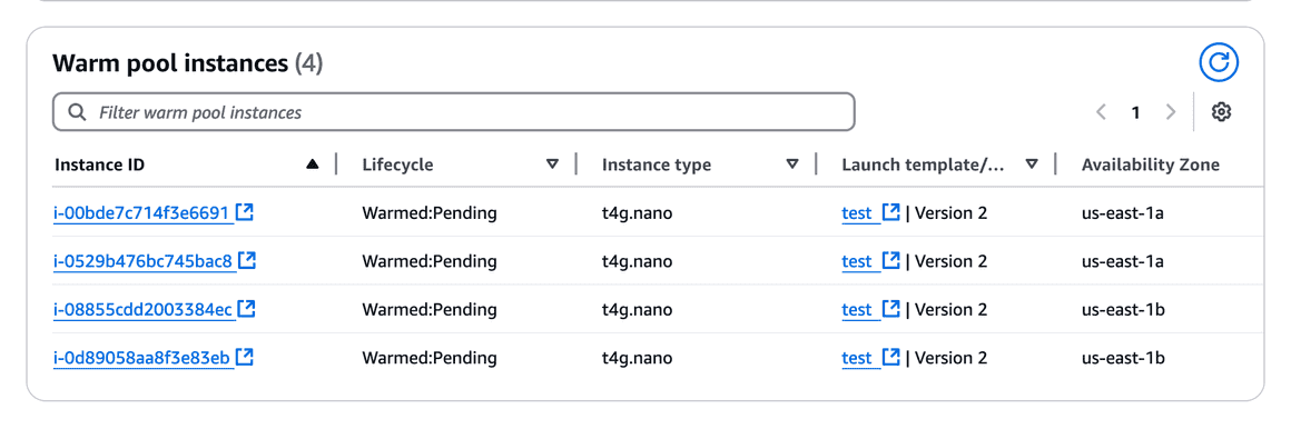 Warm pool instances
